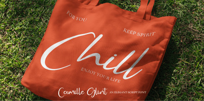 CF Camille Glint Font Poster 10