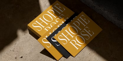 Citrus Sunset Font Poster 5