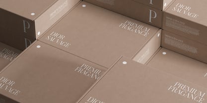 Citrus Sunset Font Poster 4