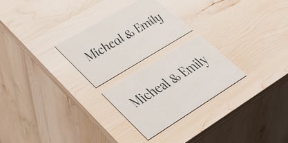 Citrus Sunset Font Poster 6