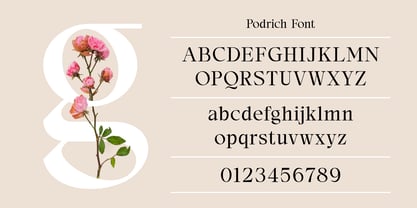 Podrich Font Poster 2
