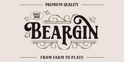 Shalten Font Poster 2