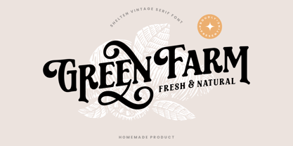 Shalten Font Poster 6