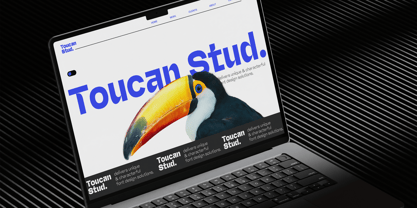 Miguer Sans Font Poster 11