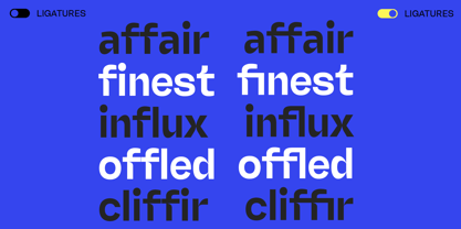 Miguer Sans Font Poster 10