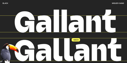 Miguer Sans Font Poster 8