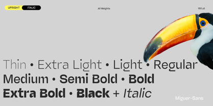 Miguer Sans Font Poster 3