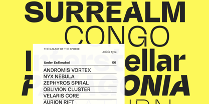 Miguer Sans Font Poster 14