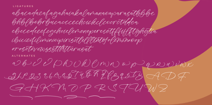 Dayland Vintage Font Poster 15