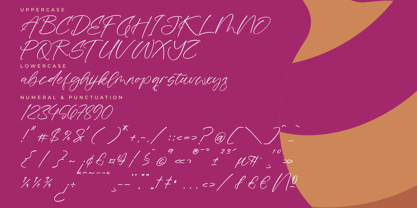 Dayland Vintage Font Poster 14