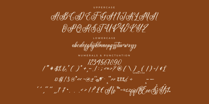 Elishanty Samantha Font Poster 7