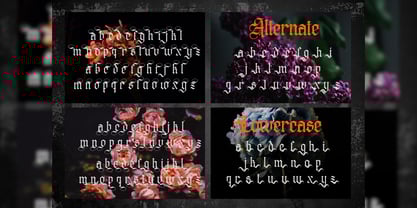 Distropiax Font Poster 5