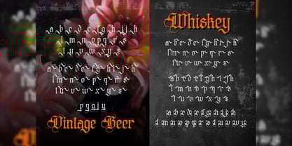 Distropiax Font Poster 6