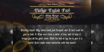 Distropiax Font Poster 14