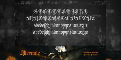 Distropiax Font Poster 4