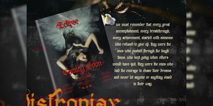 Distropiax Font Poster 13