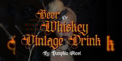 Distropiax Font Poster 11