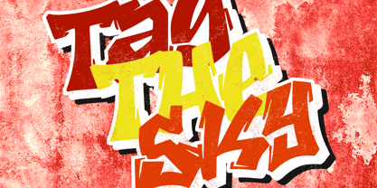 Wild Mark Font Poster 2