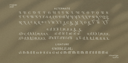 Puracao Font Poster 11