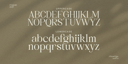 Puracao Font Poster 10