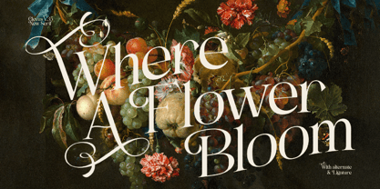 Puracao Font Poster 3