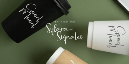 CF Sylara Signates Font Poster 6