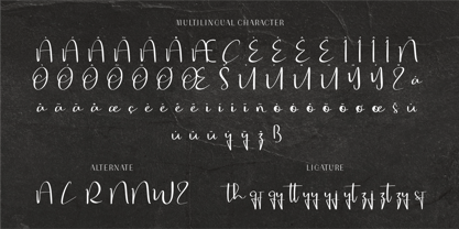 CF Sylara Signates Font Poster 3