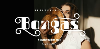 Bongas Font Poster 1