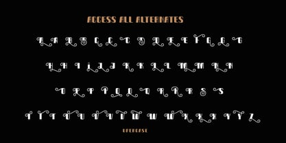 Bongas Font Poster 5