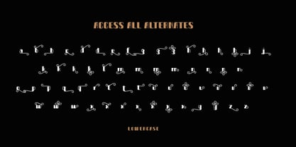 Bongas Font Poster 9