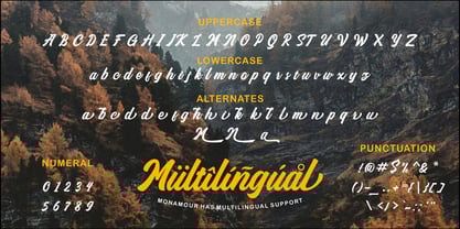 Monamour Font Poster 4