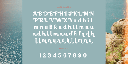 Dream Waves Font Poster 14