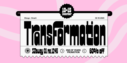 Fd Folder Font Poster 11