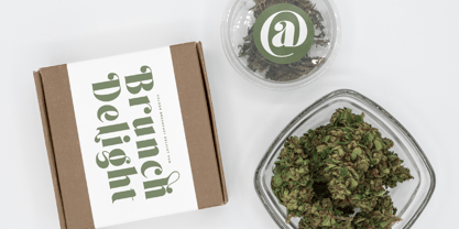 Forest Sunrise Font Poster 11