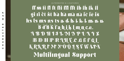 Forest Sunrise Font Poster 15