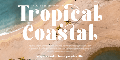 Forest Sunrise Font Poster 5