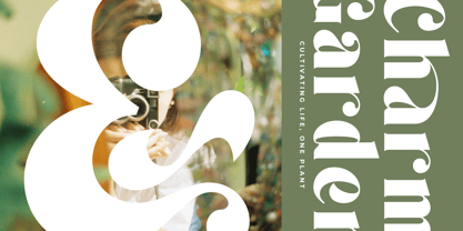 Forest Sunrise Font Poster 10