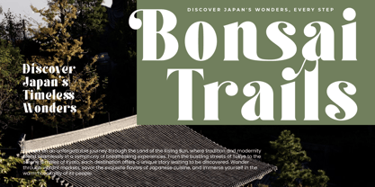 Forest Sunrise Font Poster 13