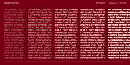 Magiore VF Font Poster 6