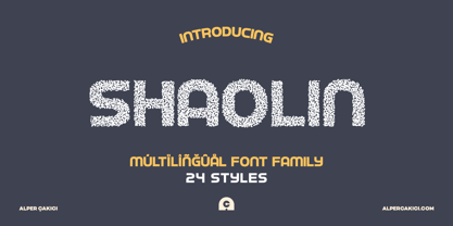 Shaolin Font Poster 11