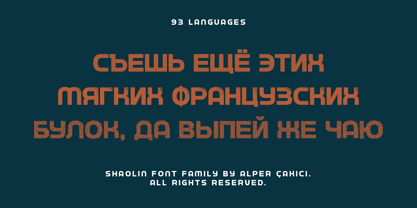 Shaolin Font Poster 6