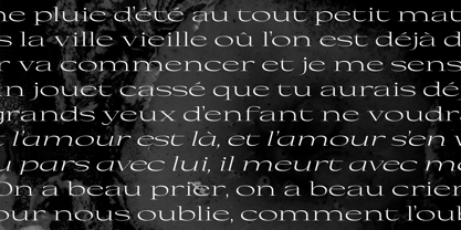 Eternal Collection Variable Font Poster 6