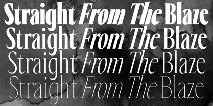 Eternal Collection Variable Font Poster 12