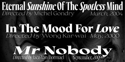 Eternal Collection Variable Font Poster 4