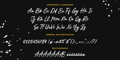 Chatamy Font Poster 6