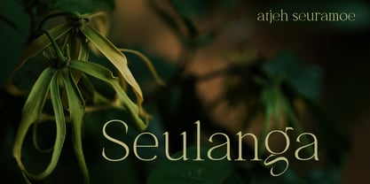 Shoshin Font Poster 11