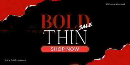 Shoshin Font Poster 2