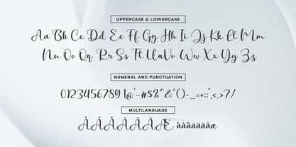 Clamaty Script Font Poster 6