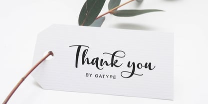 Clamaty Script Font Poster 8