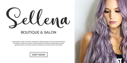 Clamaty Script Font Poster 2